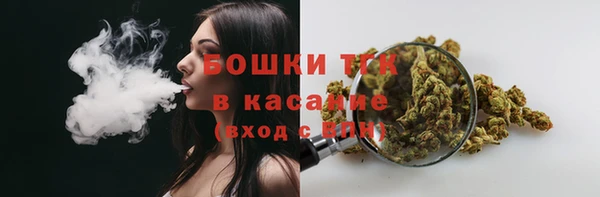 сатива Аркадак