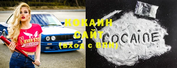 сатива Аркадак
