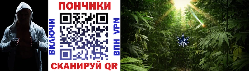 Бошки марихуана SATIVA & INDICA  Купить  Лосино-Петровский 